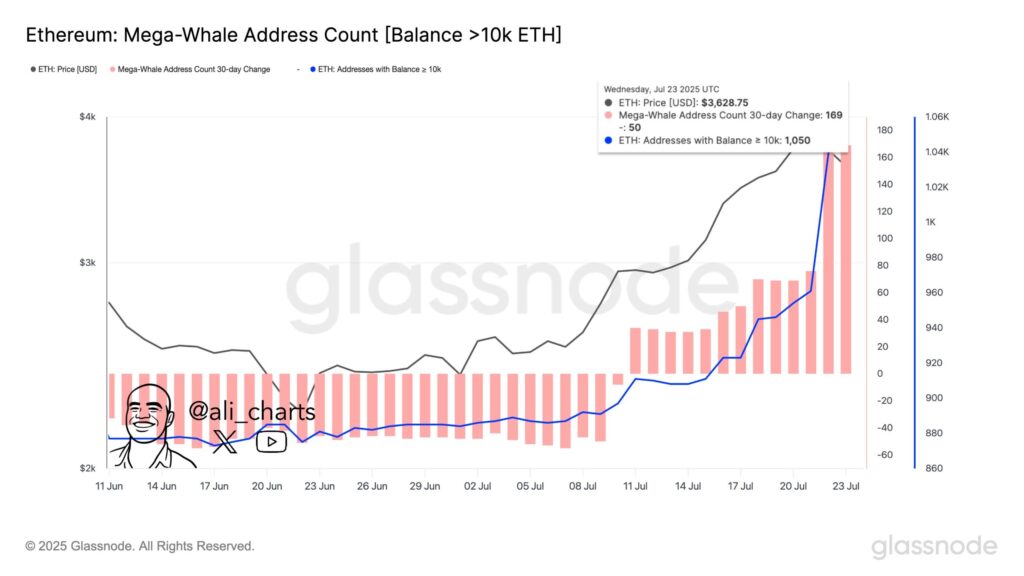 تعداد کیف پول نهنگ‌های بزرگ اتریوم - منبع: GlassNode