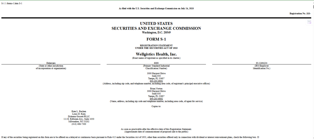 فرم S-1 ولجیستیک هلث - منبع: SEC