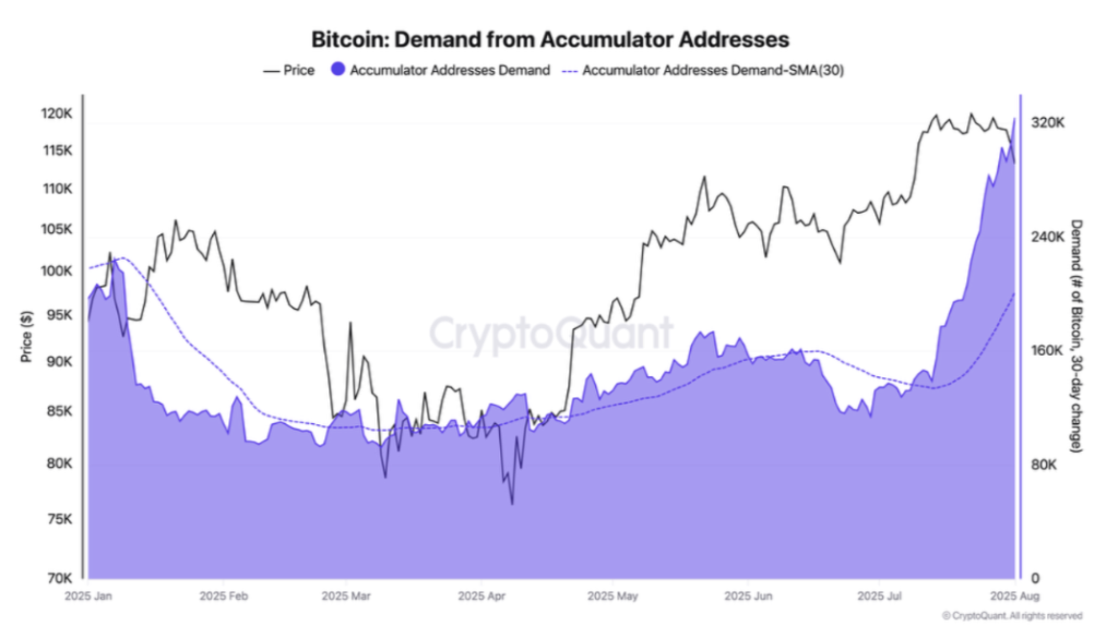تقاضا از سوی کیف پول‌های صرفا انباشت‌کننده بیت کوین - منبع: CryptoQuant