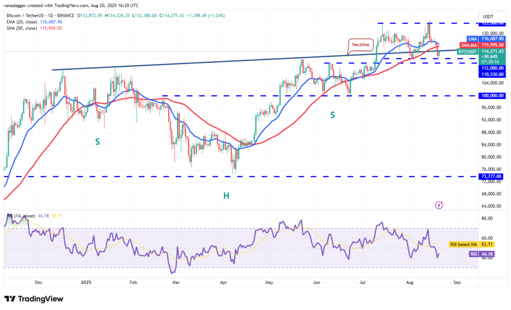 نمودار بیت کوین تایم فریم ۱ روزه - منبع: TradingView