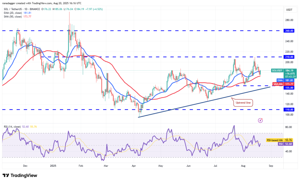 نمودار سولانا تایم فریم ۱ روزه - منبع: TradingView