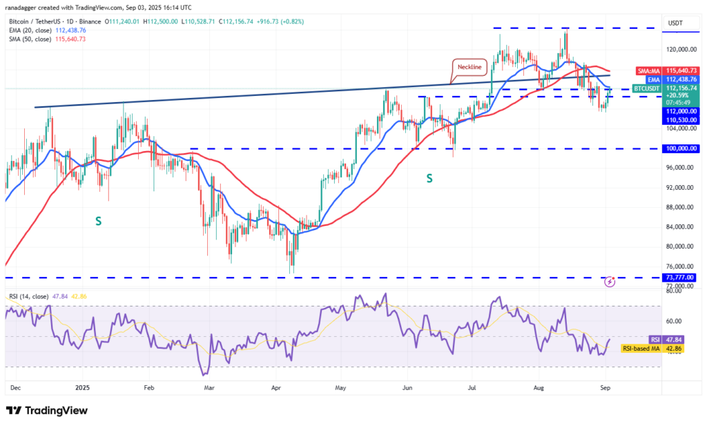 نمودار بیت کوین تایم‌فریم ۱ روزه - منبع: TradingView