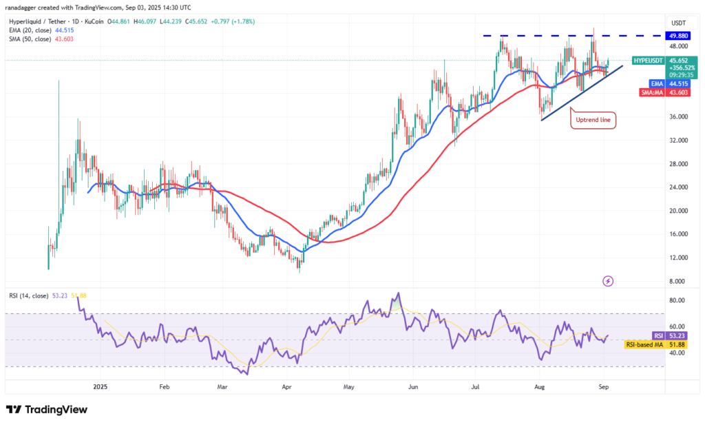 نمودار هایپرلیکویید تایمفریم ۱ روزه - منبع: TradingView
