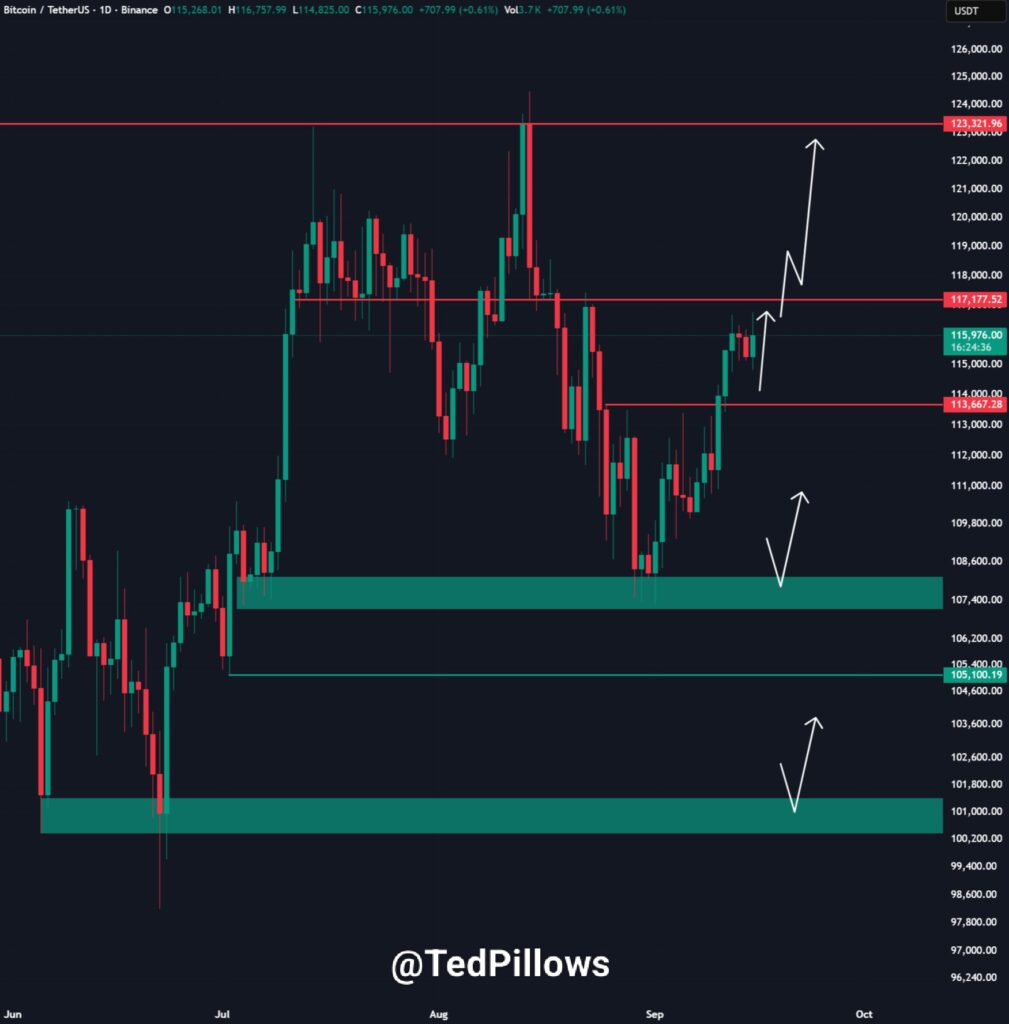 نمودار بیت کوین تایم‌فریم ۱ روزه - منبع: Ted Pillows/X