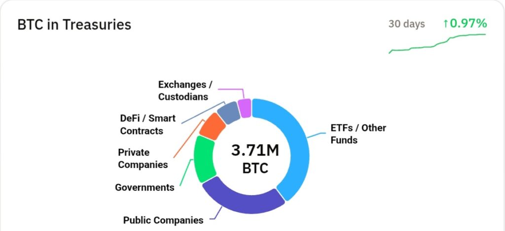 بیت کوین در خزانه‌داری‌ها - منبع: Bitcoin Treasuries Net