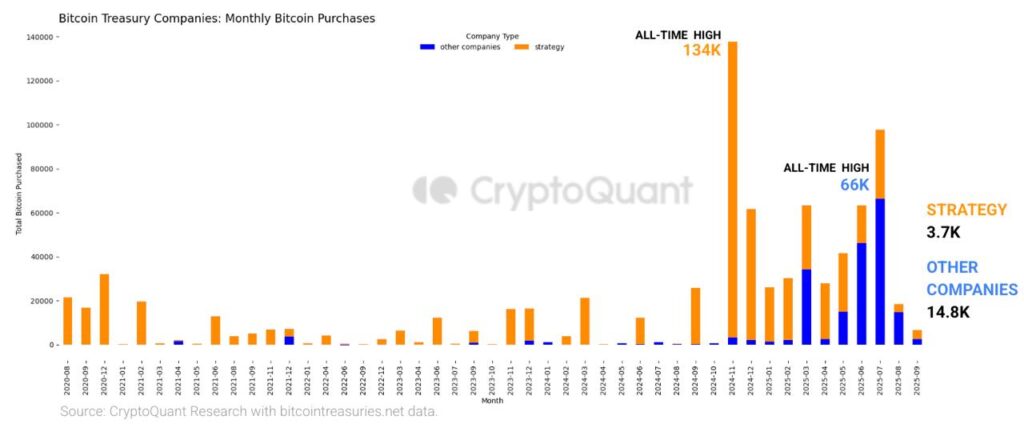 شرکت‌های خزانه‌داری بیت کوین - منبع: CryptoQuant