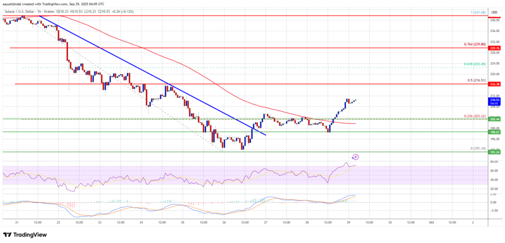 سطوح حمایت و مقاومت کلیدی در نمودار ۱ ساعته قیمت سولانا - منبع: TradingView