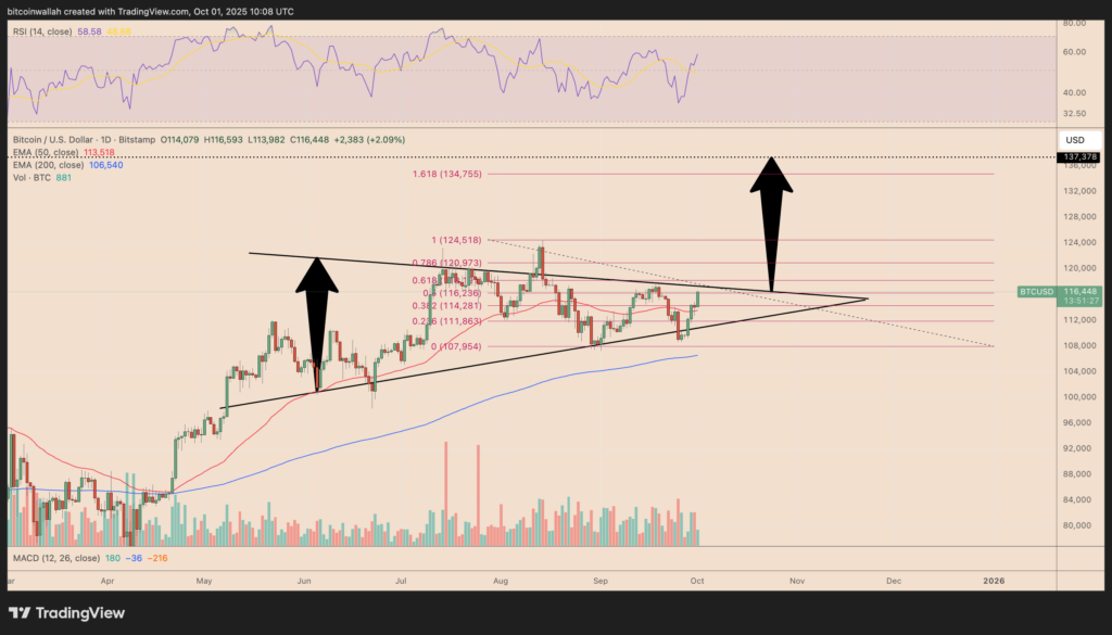 نمودار بیت کوین تایم فریم ۱ روزه - منبع: TradingView