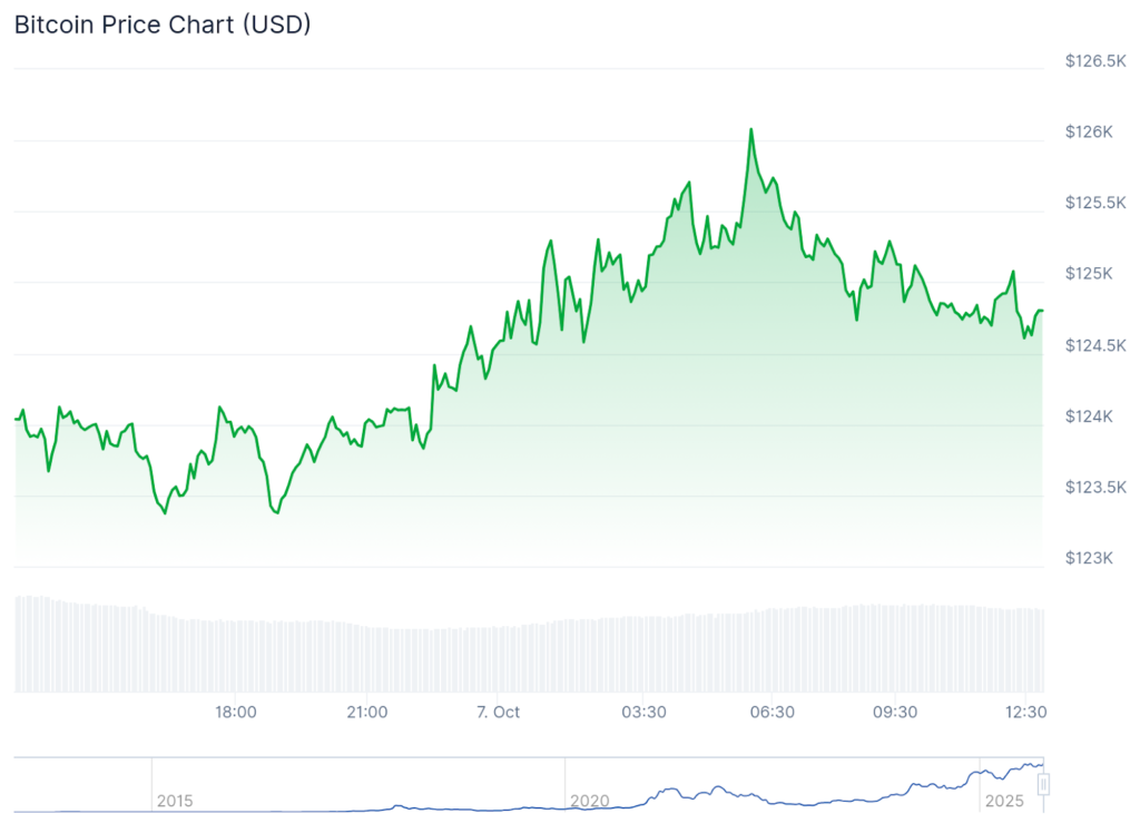 نمودار قیمت بیت کوین - منبع: CoinGecko