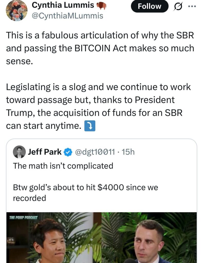 اظهارات سینتیا لومیس درباره راه‌اندازی ذخیره استراتژیک بیت کوین - منبع: Cynthia Lummis