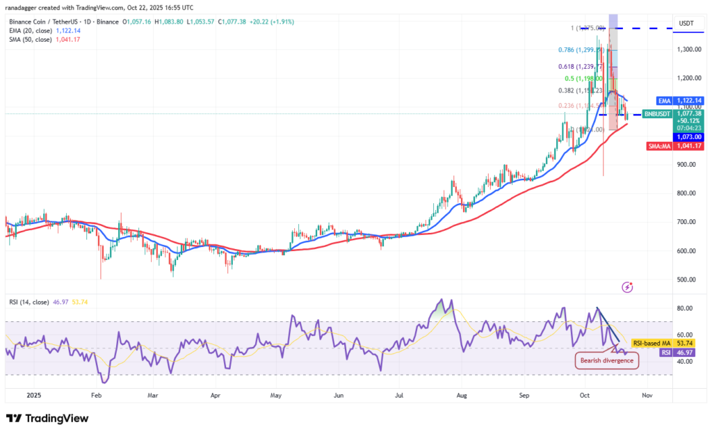 نمودار BNB تایم‌فریم ۱ روزه - منبع: TradingView