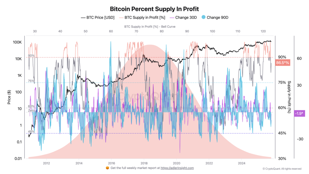 درصد عرضه در سود بیت کوین - منبع: CryptoQuant