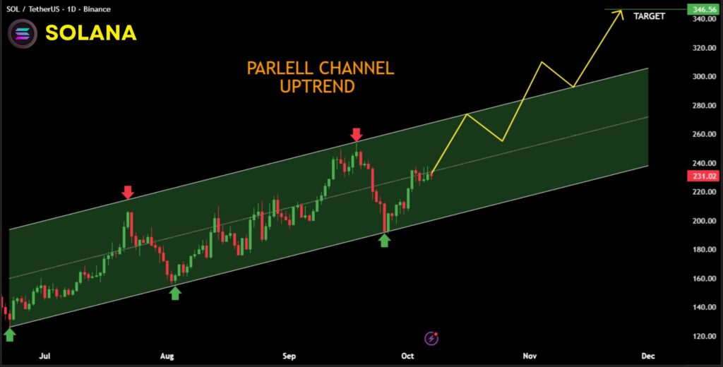 تحلیل نمودار قیمتی سولانا در تایم‌فریم روزانه - منبع: NekoZ