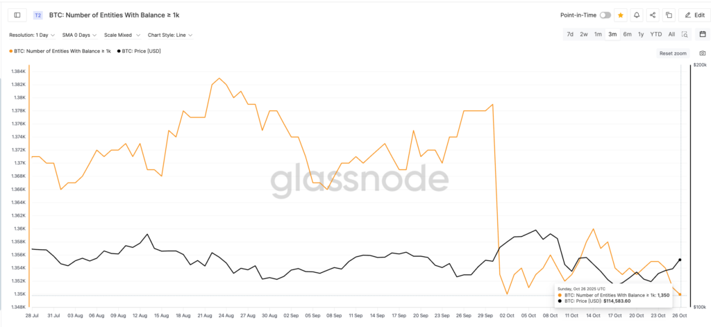 کاهش تعداد نهنگ‌های بیت کوین - منبع: Glassnode