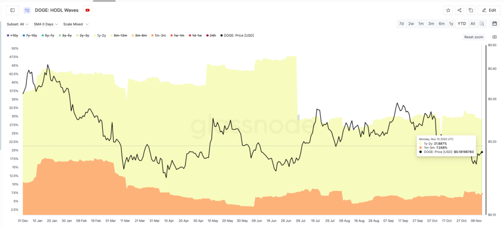 شاخص امواج هولد دوج کوین - منبع: Glassnode شاخص امواج هولد دوج کوین - منبع: Glassnode