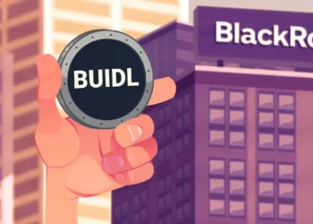 فیچر بیلد بلک راک