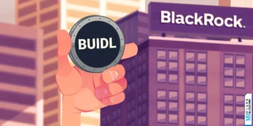 فیچر بیلد بلک راک