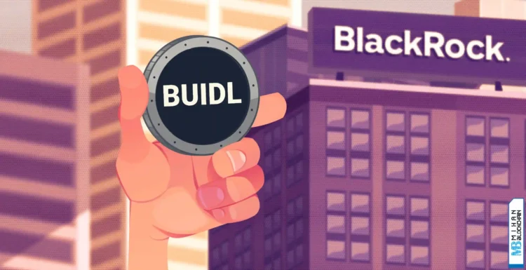 فیچر بیلد بلک راک