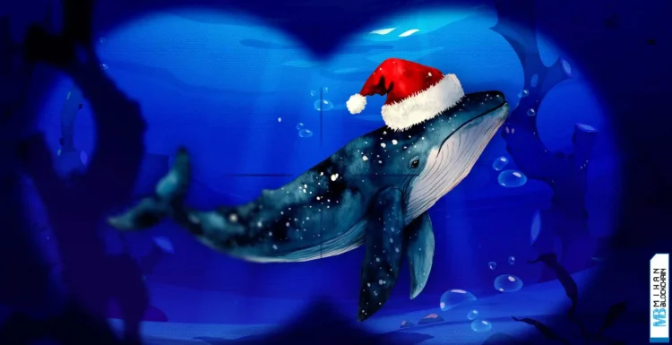 فیچر نهنگ در تعطیلات