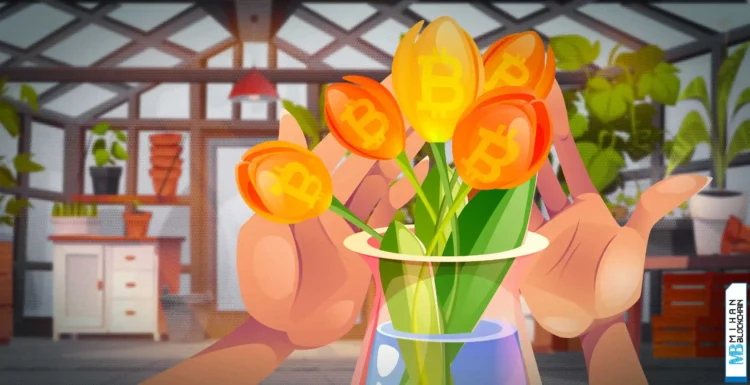 فیچر بیت کوین حباب گل لاله