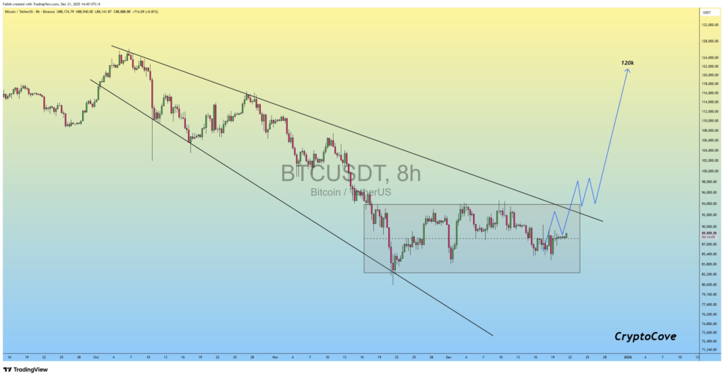 منبع: کاپیتان فایبیک منبع: کاپیتان فایبیک