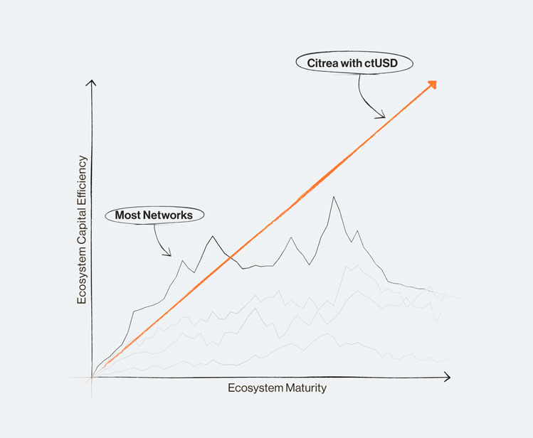 مقایسه کارآمدی سرمایه اکوسیستم سیتریا