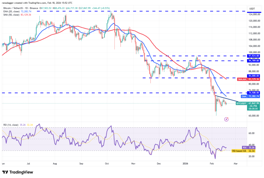 نمودار بیت کوین تایمفریم ۱ روزه - منبع: TradingView