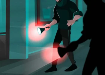 فیچر کلاهبرداری اسکم و سرقت