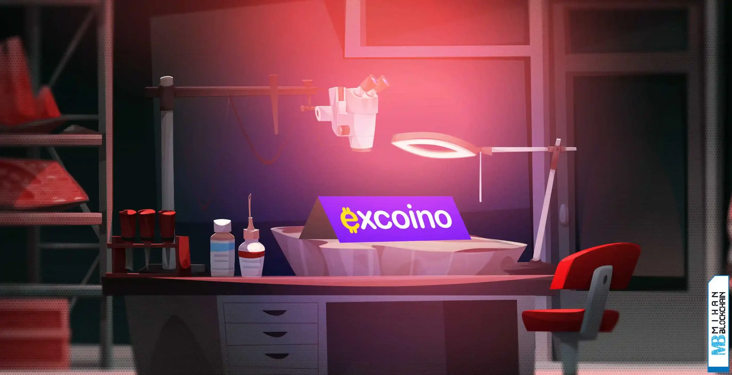 کالبد شکافی اکسکوینو