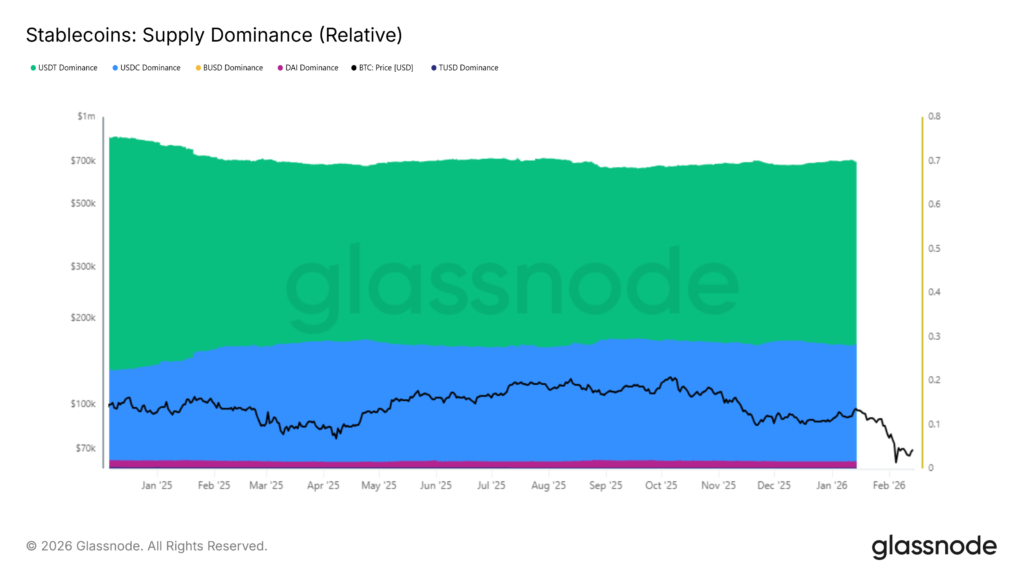 دامیننس استیبل کوینها - منبع: گلسنود دامیننس استیبل کوینها - منبع: گلسنود