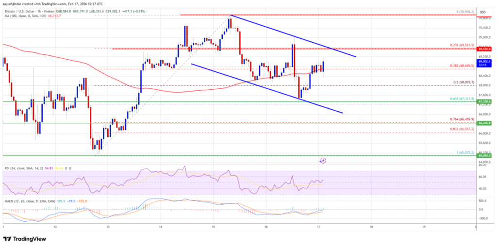 منبع: تریدینگ ویو منبع: تریدینگ ویو