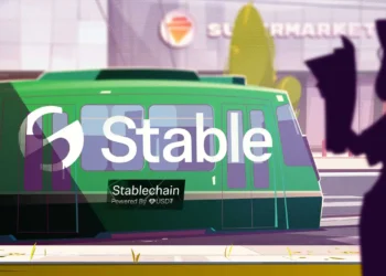 فیچر استیبل چین