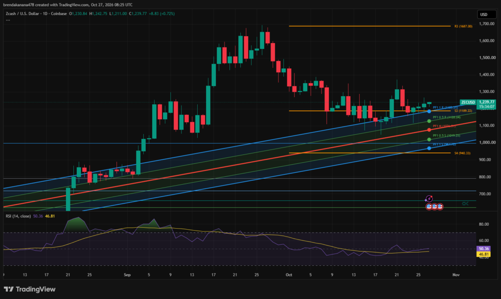 نمودار قیمت ZEC. منبع: TradingView نمودار قیمت ZEC. منبع: TradingView